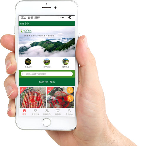 微信營銷微商城開發