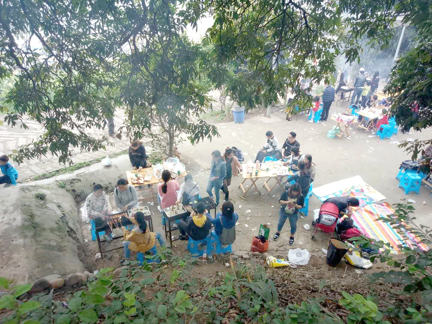 瀘州大浪科技網站建設攜家眷春游燒烤踏青