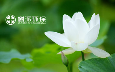 瀘州樹派環保科技有限公司